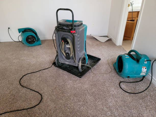 Best Sewage cleanup and water damage restoration  in The Village, OK