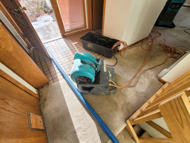 Best Ceiling water damage repair  in The Village, OK