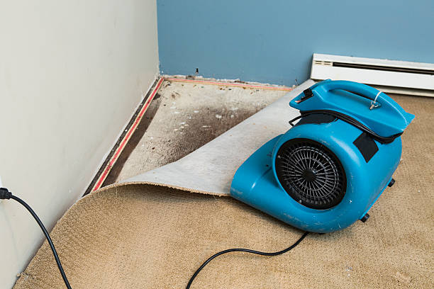 Best Basement water damage restoration  in The Village, OK